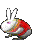 |bunny|